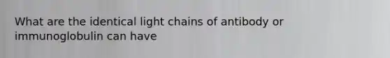 What are the identical light chains of antibody or immunoglobulin can have