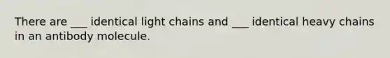 There are ___ identical light chains and ___ identical heavy chains in an antibody molecule.