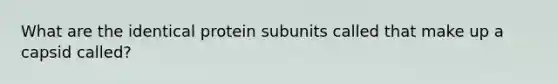 What are the identical protein subunits called that make up a capsid called?