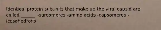 Identical protein subunits that make up the viral capsid are called ______. -sarcomeres -amino acids -capsomeres -icosahedrons