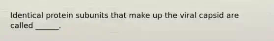 Identical protein subunits that make up the viral capsid are called ______.
