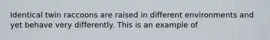 Identical twin raccoons are raised in different environments and yet behave very differently. This is an example of