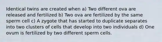 Identical twins are created when a) Two different ova are released and fertilized b) Two ova are fertilized by the same sperm cell c) A zygote that has started to duplicate separates into two clusters of cells that develop into two individuals d) One ovum is fertilized by two different sperm cells.