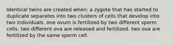 Identical twins are created when: a zygote that has started to duplicate separates into two clusters of cells that develop into two individuals. one ovum is fertilized by two different sperm cells. two different ova are released and fertilized. two ova are fertilized by the same sperm cell.