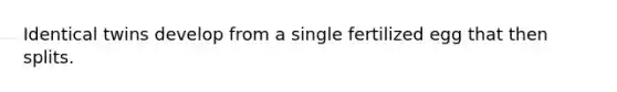 Identical twins develop from a single fertilized egg that then splits.