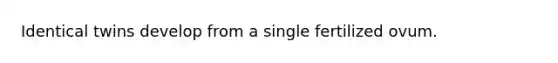 Identical twins develop from a single fertilized ovum.