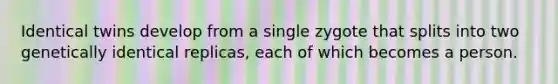 Identical twins develop from a single zygote that splits into two genetically identical replicas, each of which becomes a person.