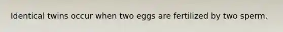 Identical twins occur when two eggs are fertilized by two sperm.