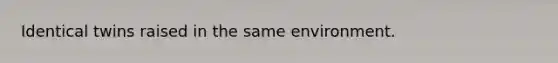 Identical twins raised in the same environment.