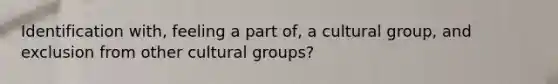 Identification with, feeling a part of, a cultural group, and exclusion from other cultural groups?