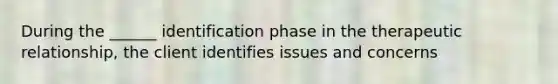 During the ______ identification phase in the therapeutic relationship, the client identifies issues and concerns