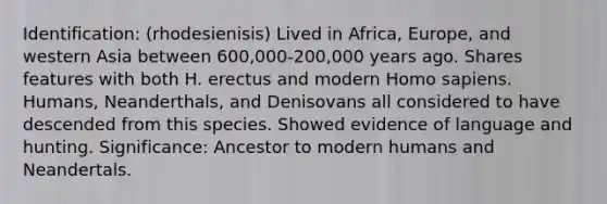 Identification: (rhodesienisis) Lived in Africa, Europe, and western Asia between 600,000-200,000 years ago. Shares features with both H. erectus and modern Homo sapiens. Humans, Neanderthals, and Denisovans all considered to have descended from this species. Showed evidence of language and hunting. Significance: Ancestor to modern humans and Neandertals.