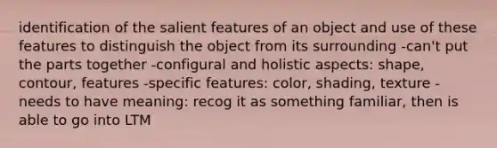 identification of the salient features of an object and use of these features to distinguish the object from its surrounding -can't put the parts together -configural and holistic aspects: shape, contour, features -specific features: color, shading, texture -needs to have meaning: recog it as something familiar, then is able to go into LTM