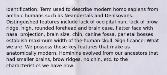 Identification: Term used to describe modern homo sapiens from archaic humans such as Neandertals and Denisovans. Distinguished features include lack of occipital bun, lack of brow ridge, high, rounded forehead and brain case, flatter face with nasal projection, brain size, chin, canine fossa, parietal bosses establish maximum width of the human skull. Significance: What we are. We possess these key features that make us anatomically modern. Hominins evolved from our ancestors that had smaller brains, brow ridges, no chin, etc. to the characteristics we have now.