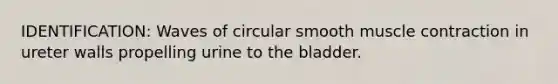 IDENTIFICATION: Waves of circular smooth <a href='https://www.questionai.com/knowledge/k0LBwLeEer-muscle-contraction' class='anchor-knowledge'>muscle contraction</a> in ureter walls propelling urine to the bladder.