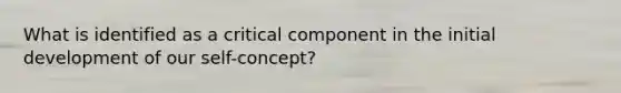 What is identified as a critical component in the initial development of our self-concept?