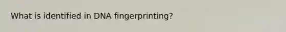 What is identified in DNA fingerprinting?