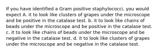 If you have identified a Gram positive staphylococci, you would expect A. it to look like clusters of grapes under the microscope and be positive in the catalase test. b. it to look like chains of beads under the microscope and be positive in the catalase test. c. it to look like chains of beads under the microscope and be negative in the catalase test. d. it to look like clusters of grapes under the microscope and be negative in the catalase test.