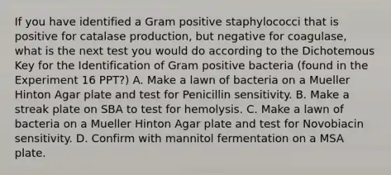 If you have identified a Gram positive staphylococci that is positive for catalase production, but negative for coagulase, what is the next test you would do according to the Dichotemous Key for the Identification of Gram positive bacteria (found in the Experiment 16 PPT?) A. Make a lawn of bacteria on a Mueller Hinton Agar plate and test for Penicillin sensitivity. B. Make a streak plate on SBA to test for hemolysis. C. Make a lawn of bacteria on a Mueller Hinton Agar plate and test for Novobiacin sensitivity. D. Confirm with mannitol fermentation on a MSA plate.