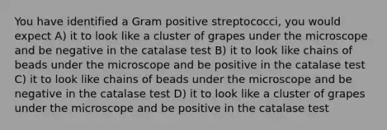 You have identified a Gram positive streptococci, you would expect A) it to look like a cluster of grapes under the microscope and be negative in the catalase test B) it to look like chains of beads under the microscope and be positive in the catalase test C) it to look like chains of beads under the microscope and be negative in the catalase test D) it to look like a cluster of grapes under the microscope and be positive in the catalase test