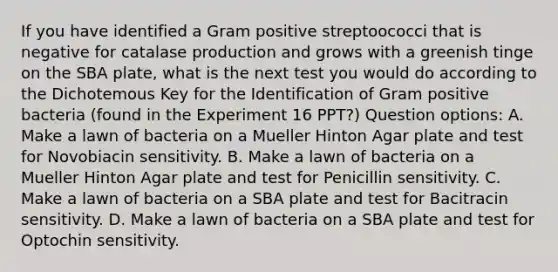 If you have identified a Gram positive streptoococci that is negative for catalase production and grows with a greenish tinge on the SBA plate, what is the next test you would do according to the Dichotemous Key for the Identification of Gram positive bacteria (found in the Experiment 16 PPT?) Question options: A. Make a lawn of bacteria on a Mueller Hinton Agar plate and test for Novobiacin sensitivity. B. Make a lawn of bacteria on a Mueller Hinton Agar plate and test for Penicillin sensitivity. C. Make a lawn of bacteria on a SBA plate and test for Bacitracin sensitivity. D. Make a lawn of bacteria on a SBA plate and test for Optochin sensitivity.