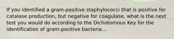 If you identified a gram-positive staphylococci that is positive for catalase production, but negative for coagulase, what is the next test you would do according to the Dichotomous Key for the identification of gram-positive bacteria...