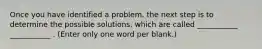 Once you have identified a problem, the next step is to determine the possible solutions, which are called ___________ ___________ . (Enter only one word per blank.)