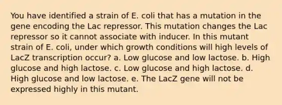 You have identified a strain of E. coli that has a mutation in the gene encoding the Lac repressor. This mutation changes the Lac repressor so it cannot associate with inducer. In this mutant strain of E. coli, under which growth conditions will high levels of LacZ transcription occur? a. Low glucose and low lactose. b. High glucose and high lactose. c. Low glucose and high lactose. d. High glucose and low lactose. e. The LacZ gene will not be expressed highly in this mutant.