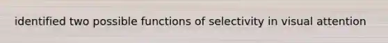 identified two possible functions of selectivity in visual attention