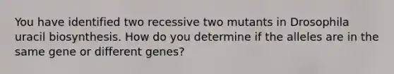 You have identified two recessive two mutants in Drosophila uracil biosynthesis. How do you determine if the alleles are in the same gene or different genes?