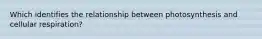 Which identifies the relationship between photosynthesis and cellular respiration?