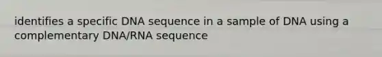 identifies a specific DNA sequence in a sample of DNA using a complementary DNA/RNA sequence