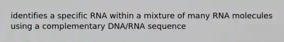 identifies a specific RNA within a mixture of many RNA molecules using a complementary DNA/RNA sequence