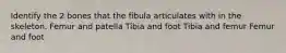 Identify the 2 bones that the fibula articulates with in the skeleton. Femur and patella Tibia and foot Tibia and femur Femur and foot