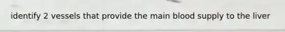 identify 2 vessels that provide the main blood supply to the liver
