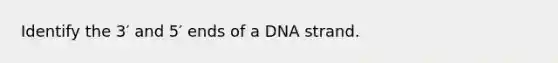 Identify the 3′ and 5′ ends of a DNA strand.