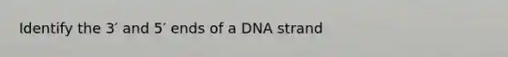 Identify the 3′ and 5′ ends of a DNA strand