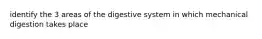 identify the 3 areas of the digestive system in which mechanical digestion takes place