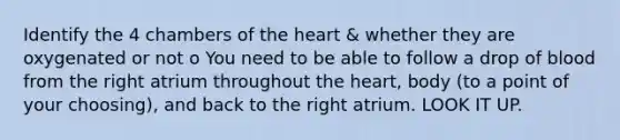 Identify the 4 chambers of <a href='https://www.questionai.com/knowledge/kya8ocqc6o-the-heart' class='anchor-knowledge'>the heart</a> & whether they are oxygenated or not o You need to be able to follow a drop of blood from the right atrium throughout the heart, body (to a point of your choosing), and back to the right atrium. LOOK IT UP.