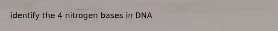 identify the 4 nitrogen bases in DNA