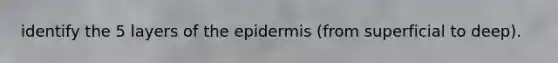 identify the 5 layers of the epidermis (from superficial to deep).