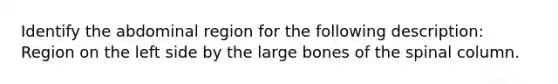 Identify the abdominal region for the following description: Region on the left side by the large bones of the spinal column.