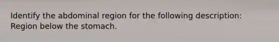 Identify the abdominal region for the following description: Region below the stomach.