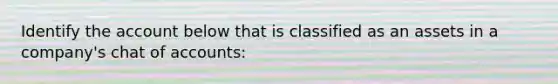 Identify the account below that is classified as an assets in a company's chat of accounts: