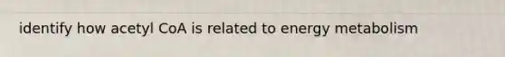 identify how acetyl CoA is related to energy metabolism