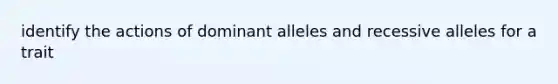 identify the actions of dominant alleles and recessive alleles for a trait