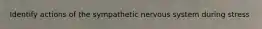 Identify actions of the sympathetic nervous system during stress
