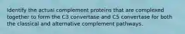 Identify the actual complement proteins that are complexed together to form the C3 convertase and C5 convertase for both the classical and alternative complement pathways.