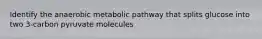 Identify the anaerobic metabolic pathway that splits glucose into two 3-carbon pyruvate molecules