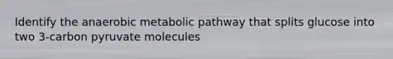 Identify the anaerobic metabolic pathway that splits glucose into two 3-carbon pyruvate molecules